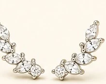 Arete Trepador de Oreja — detalle